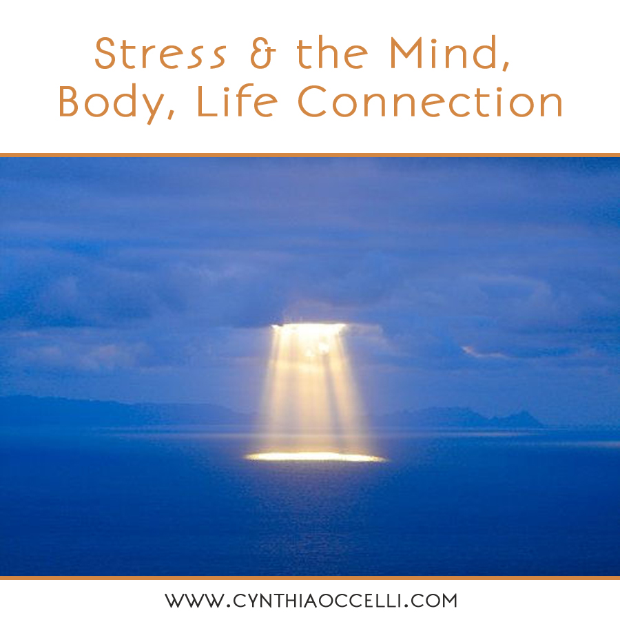 Stress & the Mind, Body, Life Connection