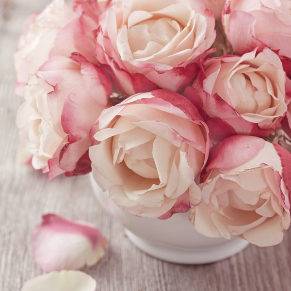 The Divine Conspiracy for Your Success